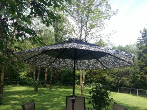 Black and white umbrella