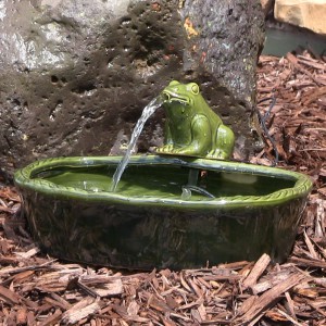 backyard water feature ideas-Solar Frog Fountain