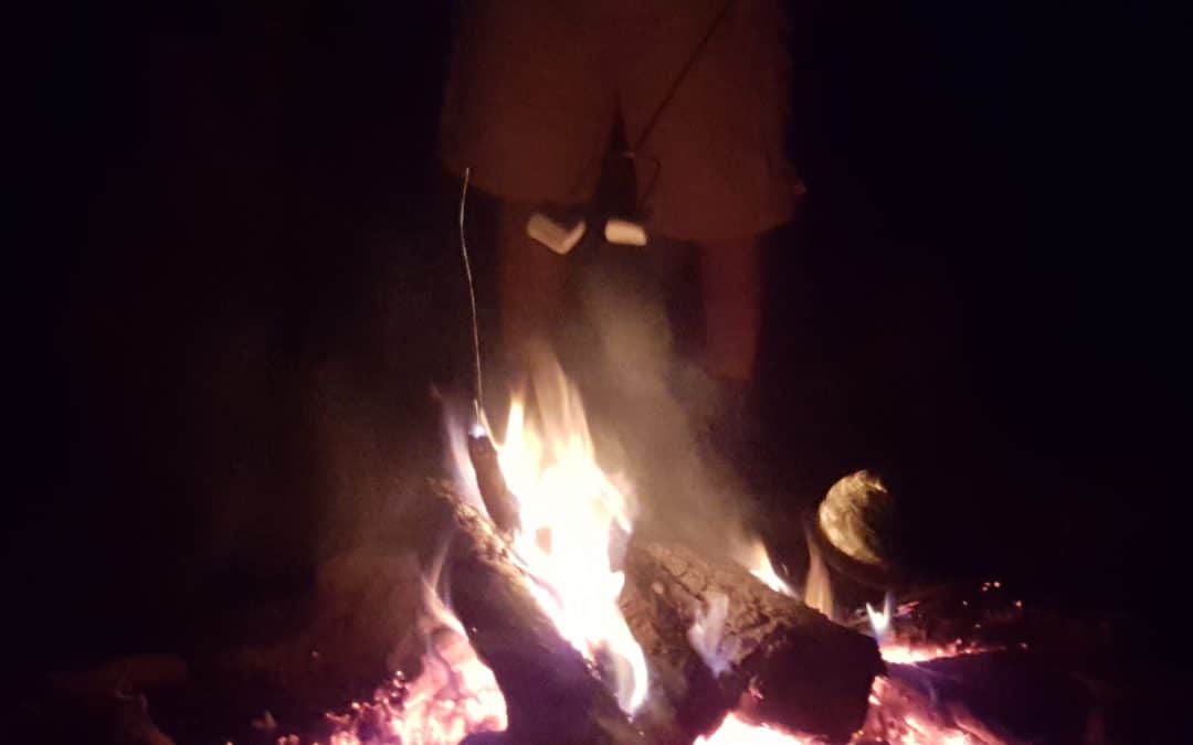 Fire Pit at Scout Camp