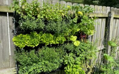 Creating A Vertical Garden Design Ideas For Your Patio