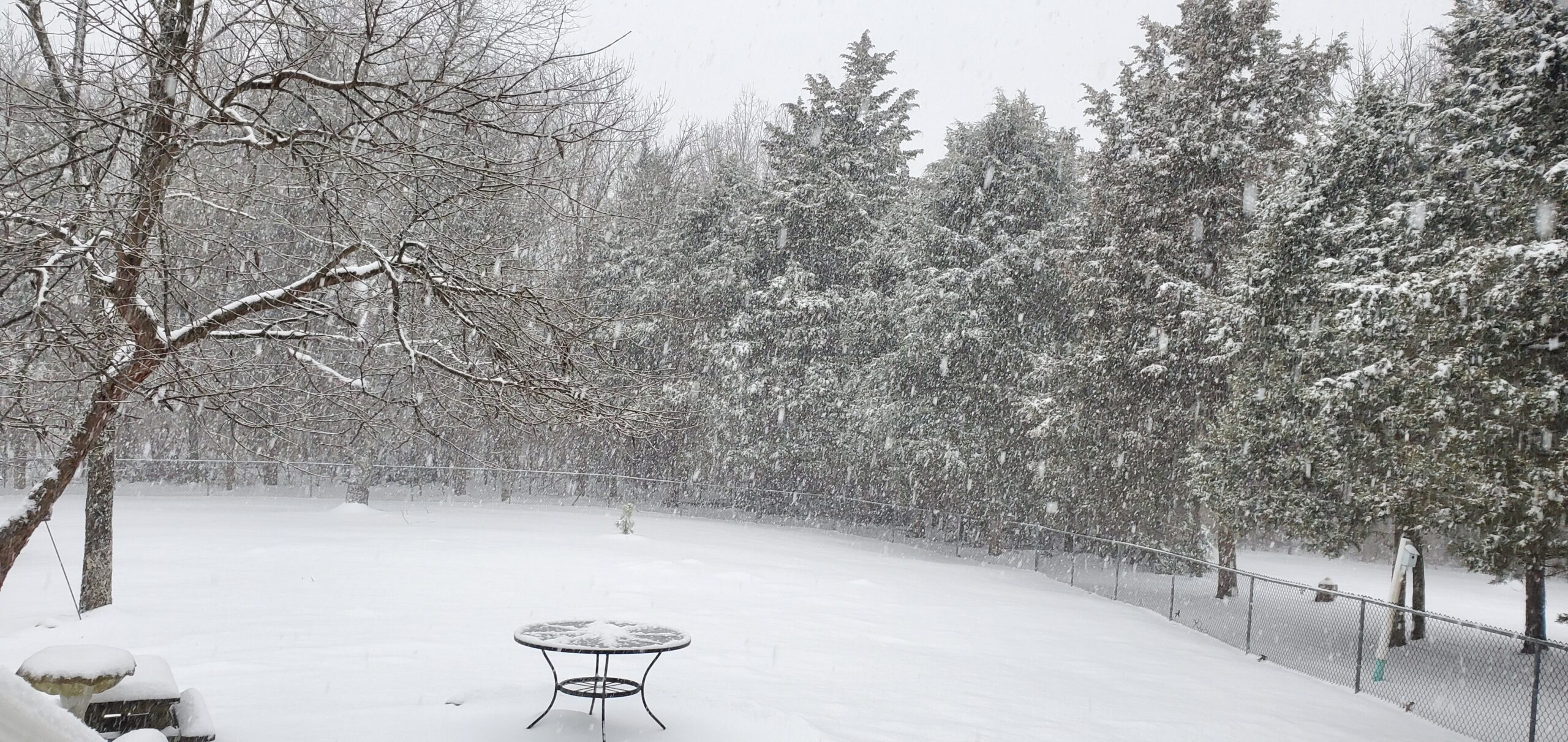 Back door after snowfall